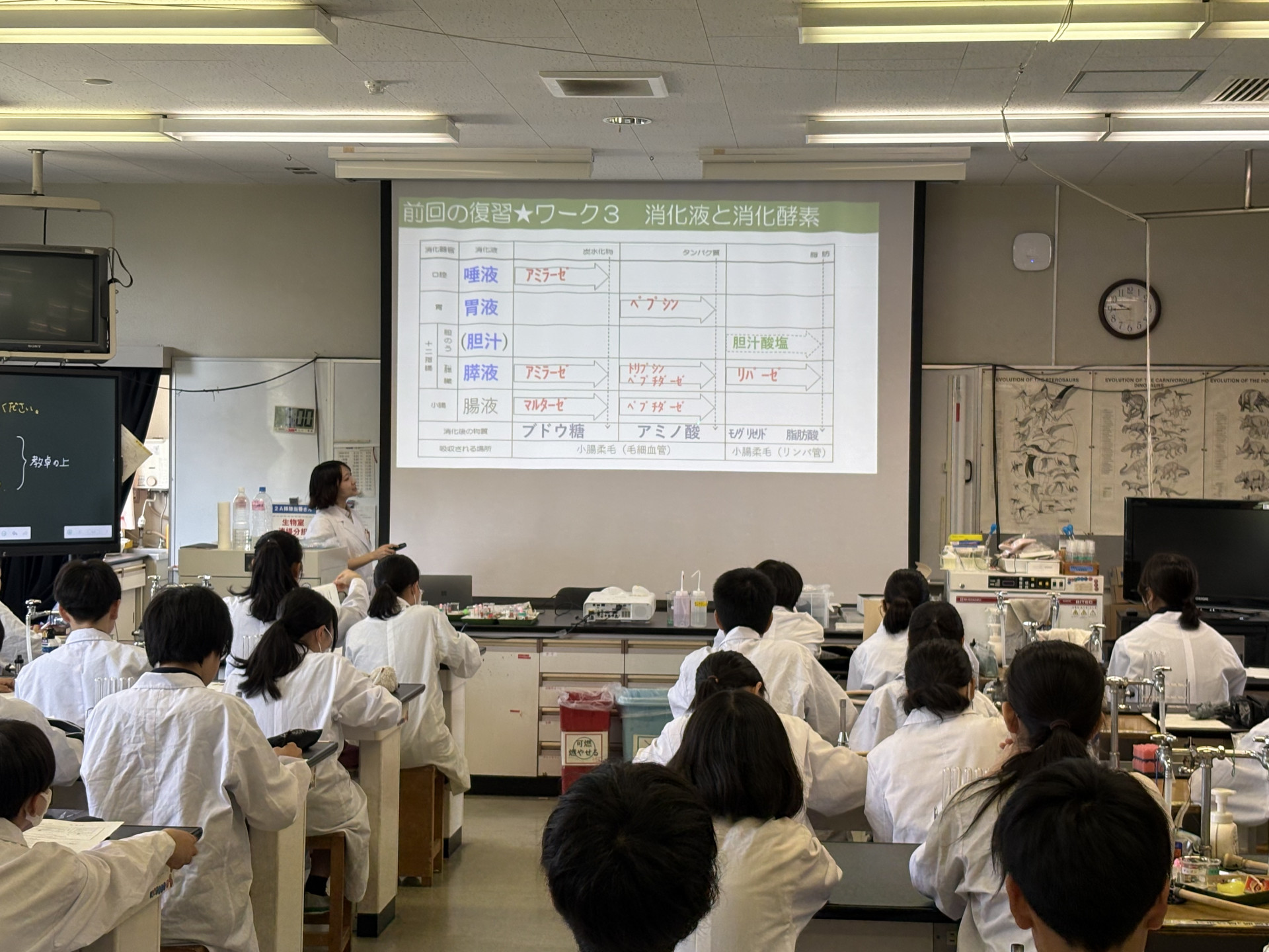 画像 -20260619-004500-7cc8e120_9728